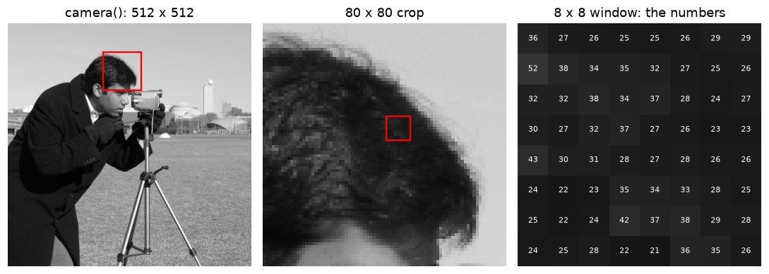 The camera image, a zoomed crop around the camera, and the raw pixel values of an 8 by 8 window