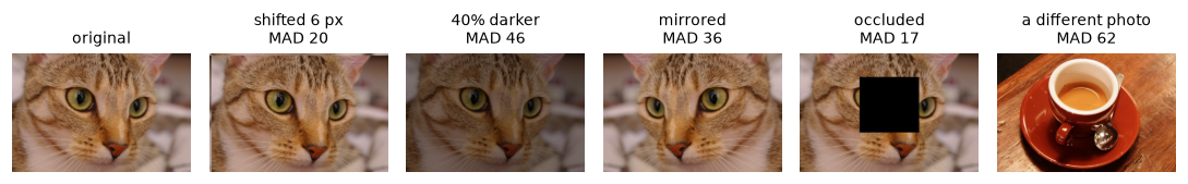 The cat photo and five variants (shifted, darker, mirrored, occluded, and a coffee photo), each titled with its mean absolute difference from the original