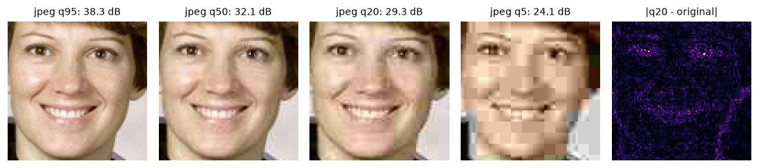 Crops of the astronaut's face saved as JPEG at qualities 95, 50, 20, and 5, plus an error map for quality 20 showing errors concentrated at edges in a blocky grid