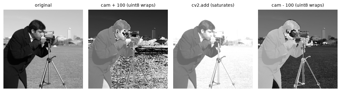 The camera image, a brightened version where the sky and coat turned dark due to wraparound, a correctly brightened saturated version, and a darkened version where the dark coat turned bright