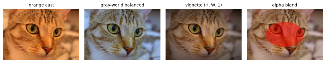 Four versions of the cat photo: with an orange cast, after gray-world white balance, with a dark vignette, and with a translucent red disk blended in