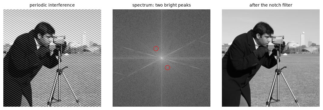 The cameraman covered in diagonal stripes, its spectrum with two isolated bright peaks circled in red, and the cleaned image with no visible stripes
