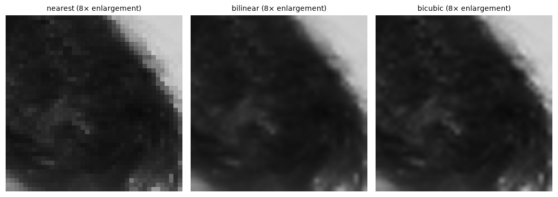 An eye-region crop enlarged eight times with nearest, bilinear, and bicubic interpolation: blocky, smooth but soft, and smooth and sharper