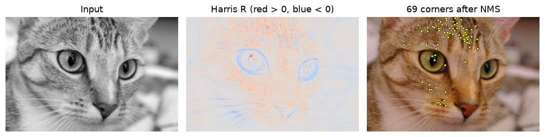 Harris response on the chelsea cat image and the detected corners