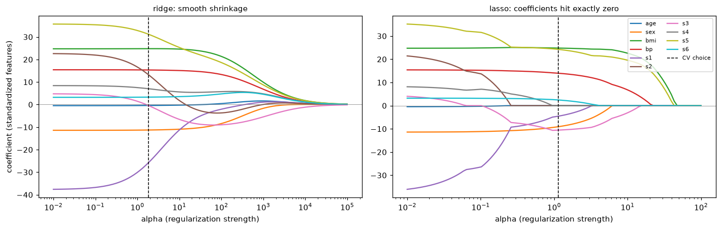 Two regularization path plots on a log alpha axis: ridge coefficients shrink smoothly toward zero together; lasso coefficients drop to exactly zero one at a time as alpha grows.