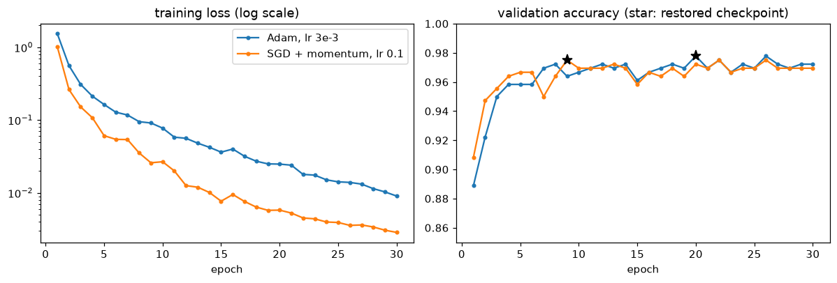 Left: training loss on a log scale for Adam and SGD with momentum over 30 epochs, both falling steadily, SGD faster. Right: validation accuracy for both, rising above 0.95 within five epochs and fluctuating between about 0.96 and 0.98, with stars at the best epochs